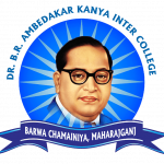 BR Ambedakar Logo