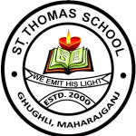 ST1
